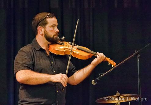 Fiddler On The Hoof_26422.jpg - Photographed at Ottawa, Ontario, Canada.